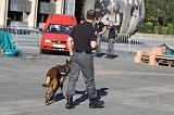 CHIEN D'INTERVENTION 063